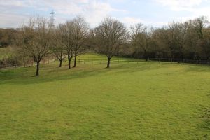 Photo 6- click for photo gallery